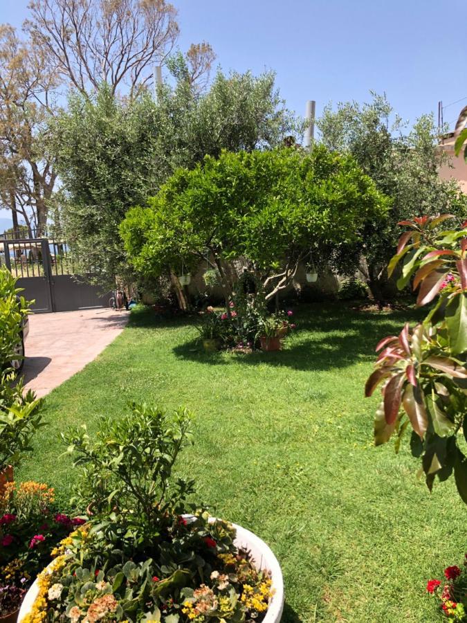 Olive House. Hotel Vlorë Buitenkant foto
